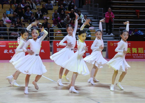 长治市第六届体育舞蹈锦标赛圆满落幕