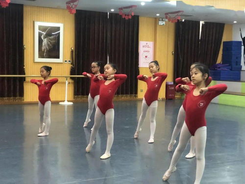 舞韵 专业测评 因为有料,所以敢秀 河南舞韵艺术培训的舞蹈教师秀课啦
